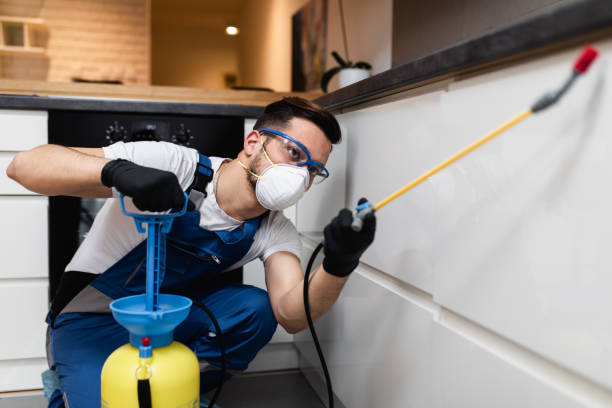 Best Best Pest Control Companies  in Unt Vernon, MO