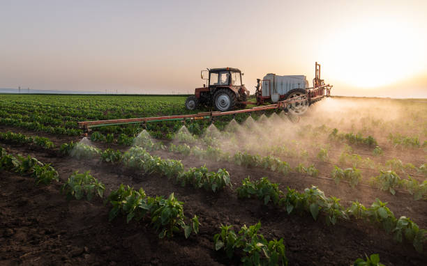 Professional Pest Control in Mount Vernon, MO