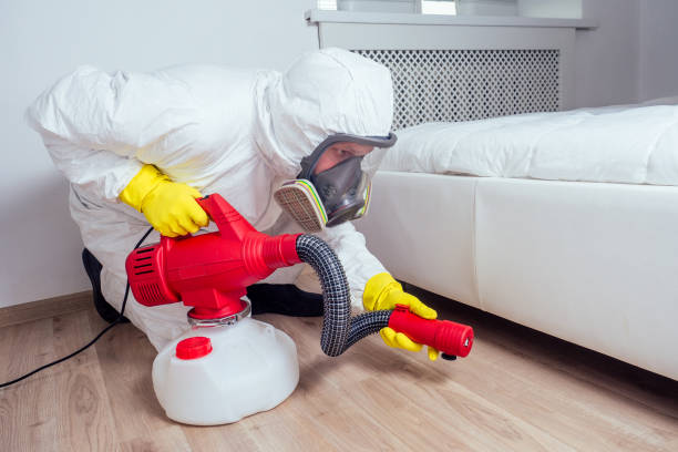 Best Affordable Pest Control Services  in Unt Vernon, MO