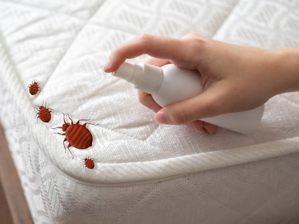 Best Best Pest Control Companies  in Unt Vernon, MO