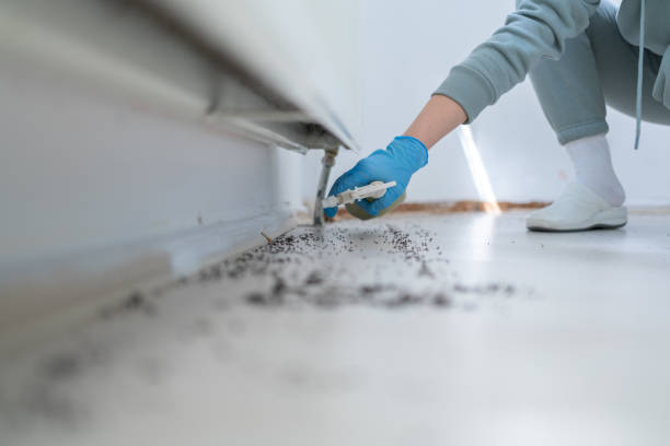 Best Pest Control for Homes  in Unt Vernon, MO