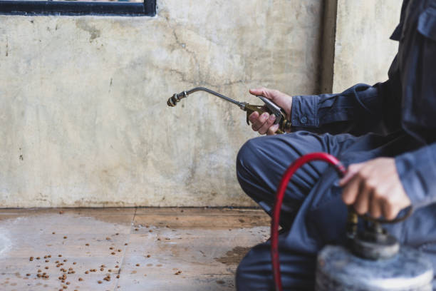 Best Local Pest Control Services  in Unt Vernon, MO
