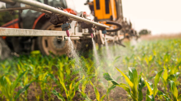 Best Mosquito Control Services  in Unt Vernon, MO